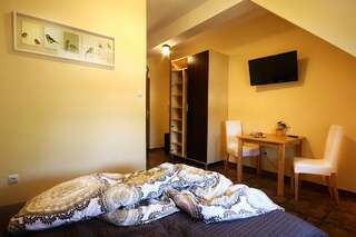 Отели типа «постель и завтрак» Pensjonat Pod Kasztanami Глогув Двухместный номер с 1 кроватью и собственной ванной комнатой-4